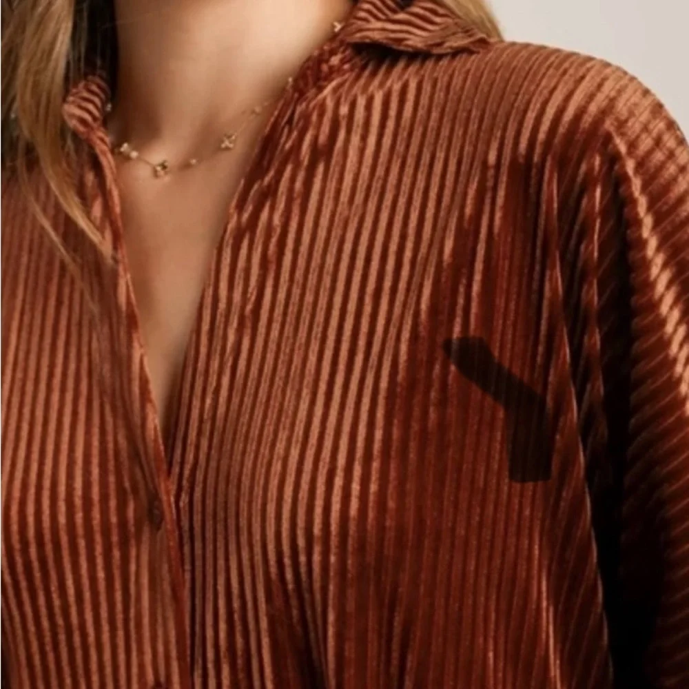 Rust Ribbed Velvet Dress - Picture 3 of 4